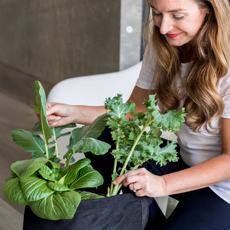 Gardenuity® Salad Garden Patio Kit