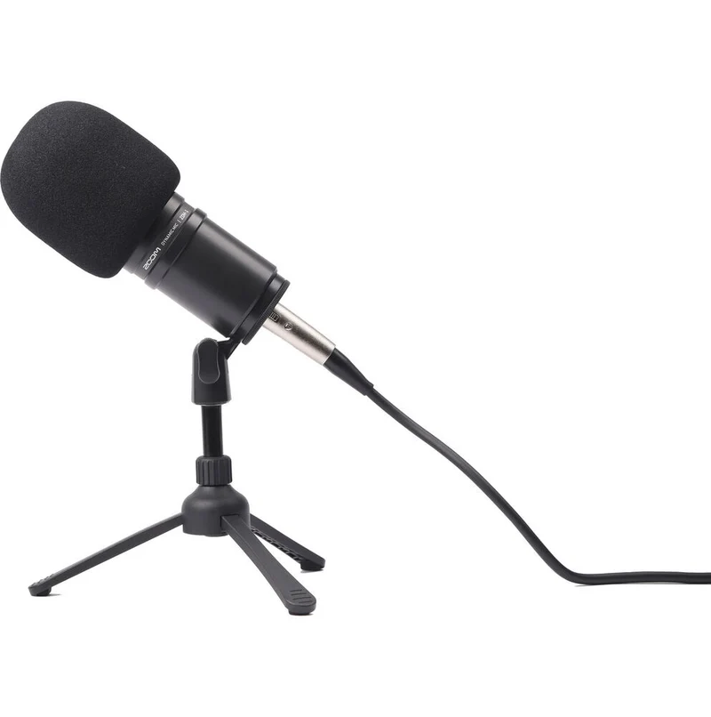 Ensemble Podcast ZDM-1