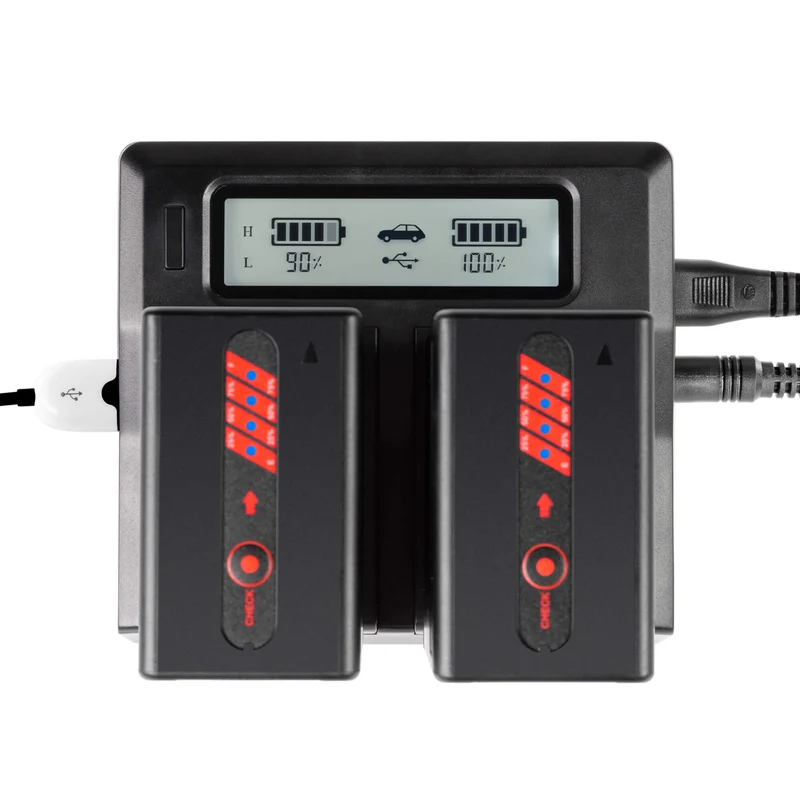 Ensemble 2 Piles BP-U65 lithium-ion avec Chargeur Double LCD