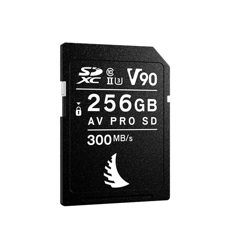 Carte Mémoire SDXC AV Pro MK2 UHS-II V90 256GB