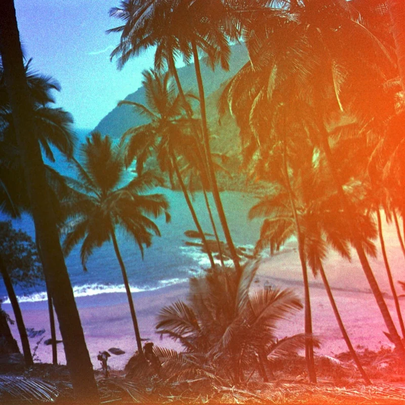 Revolog Film KOLOR (Rouleau 35mm, 36 Poses)