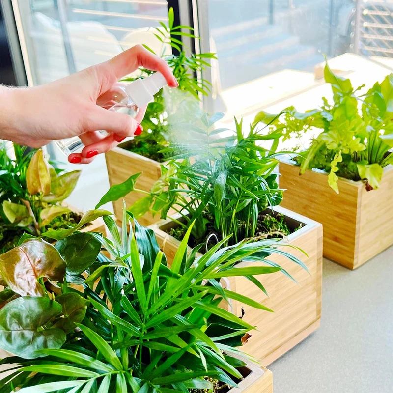 Gardenuity® Tropical Desktop Garden Kit in Bamboo Planter
