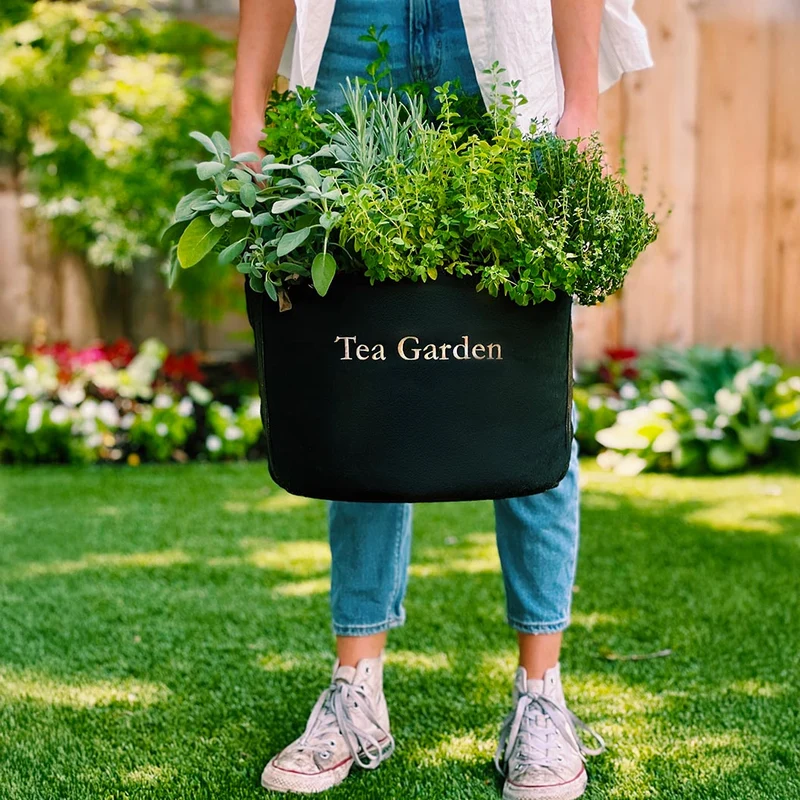 Gardenuity® Tea Garden Kit with Seasonal Herb Plants