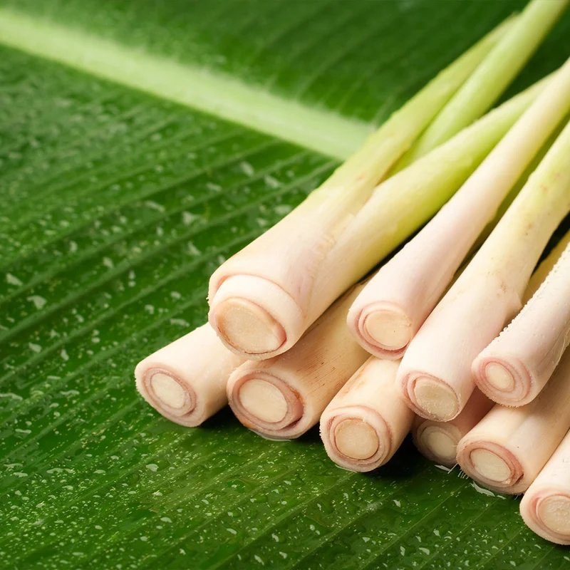 Lemongrass - USDA Organic