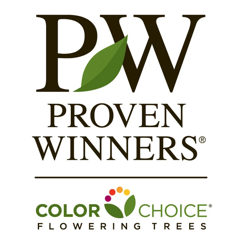 Proven Winners® Show Time™ Crabapple Tree