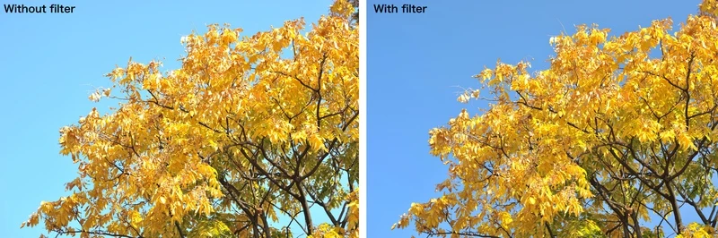 Filtre Polarisant Ciculaire REALPRO MC 62mm
