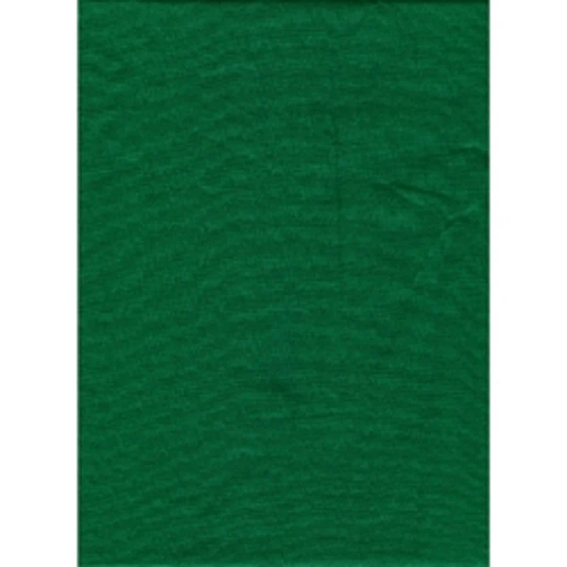 Toile de Fond Couleur Unie 10 x 20pi (Vert Chroma Key)