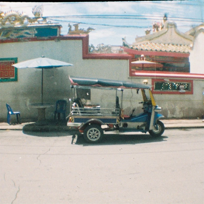 Film Couleur Tigre - Tiger ( Rouleau 110)