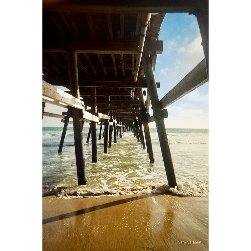 Appareil argentique EC35 35mm (Lavande)