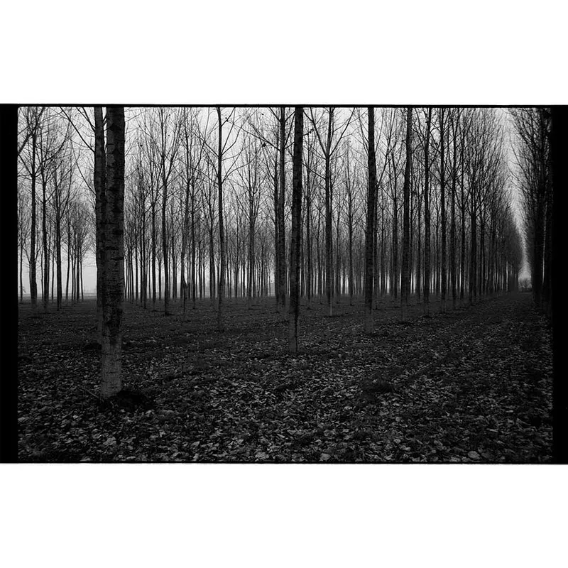 Film Noir et Blanc Ferrania P33 (35mm, 36 poses)