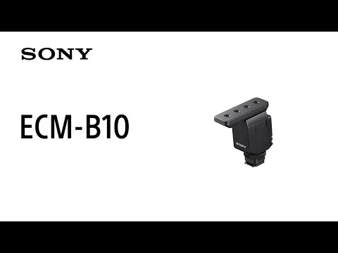 Microphone Micro-Canon ECM-B10