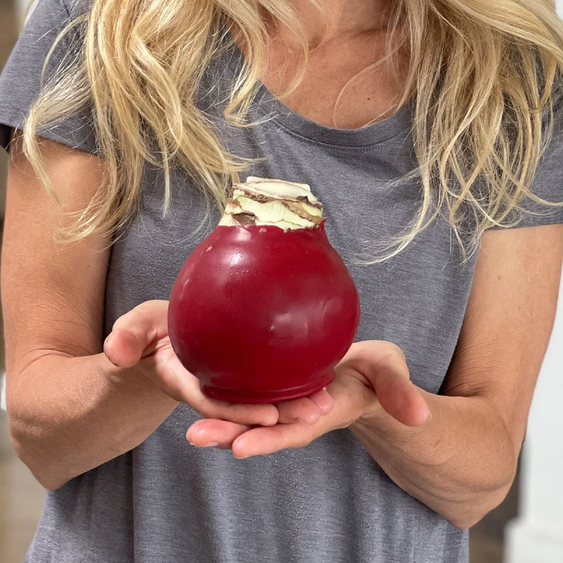 Gardenuity® Cranberry Wax-Dipped Amaryllis Bulb