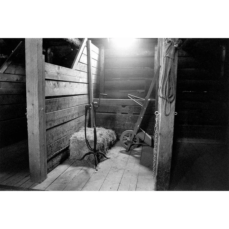 Film Noir et Blanc Wolfen 100 (35mm/36poses)