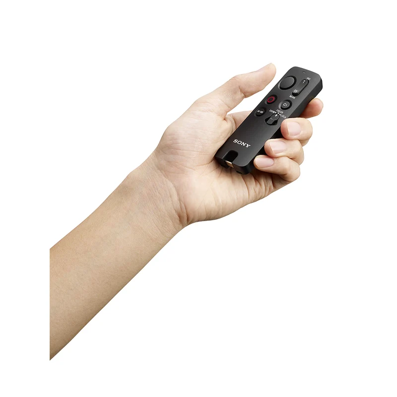 Télécommande RMT-VP2 (Noir)