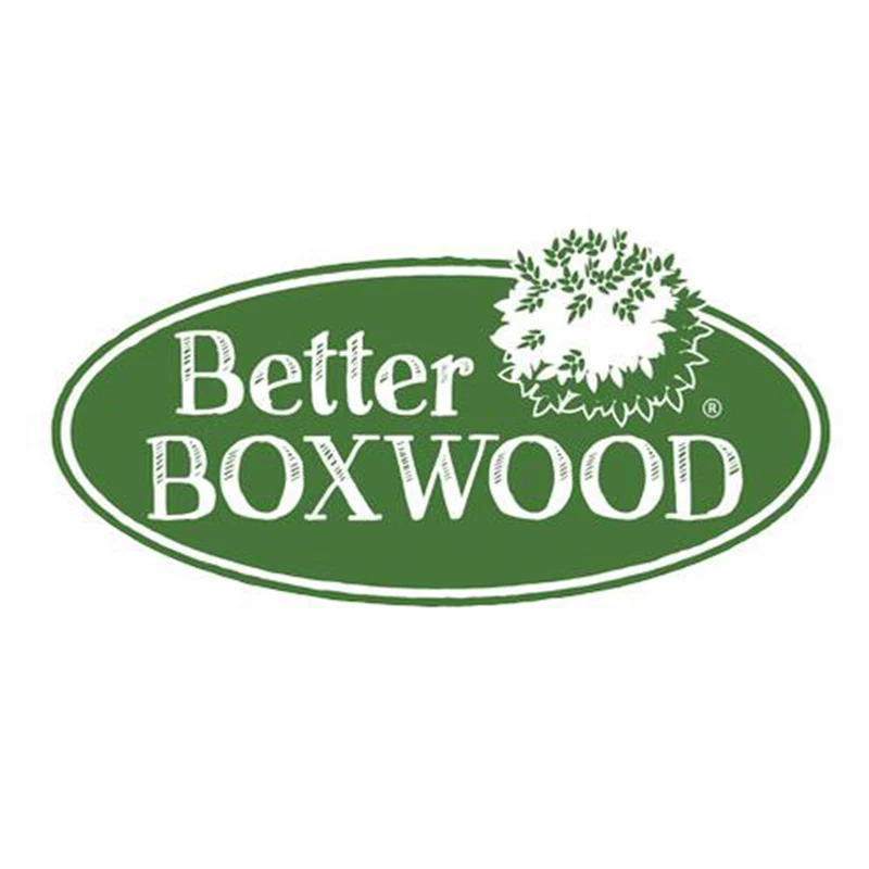 Better Boxwood® Renaissance™ Shrub
