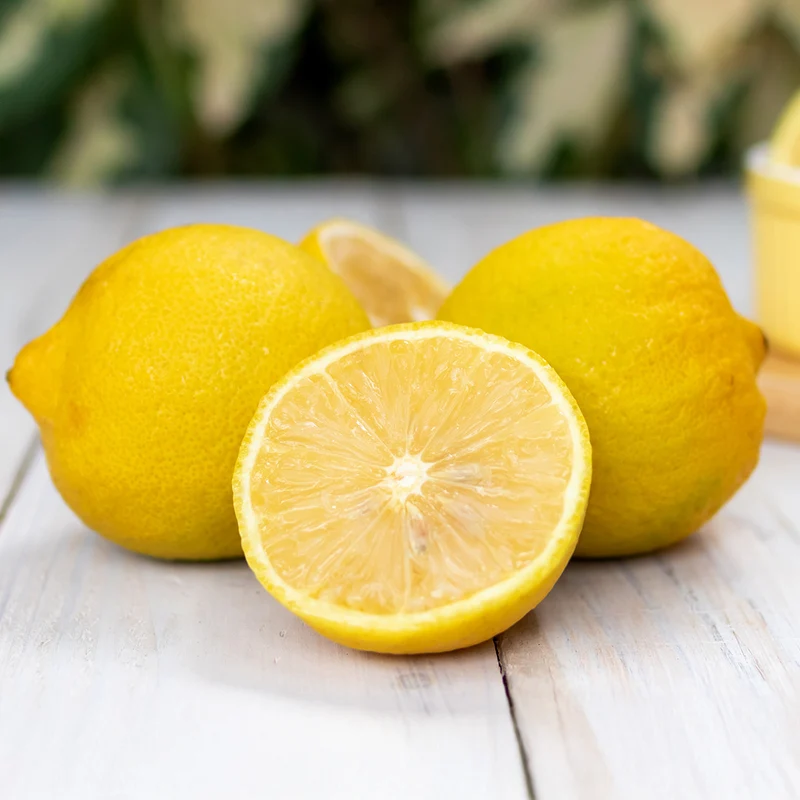 Lisbon Lemon Tree