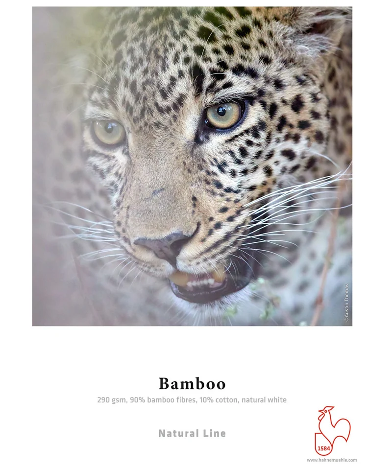 Papier Bamboo Fibre Naturelle 11x17po (25 Feuilles)