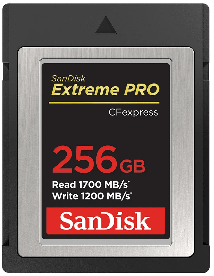Carte Mémoire CFexpress Type B Extreme PRO 256GB