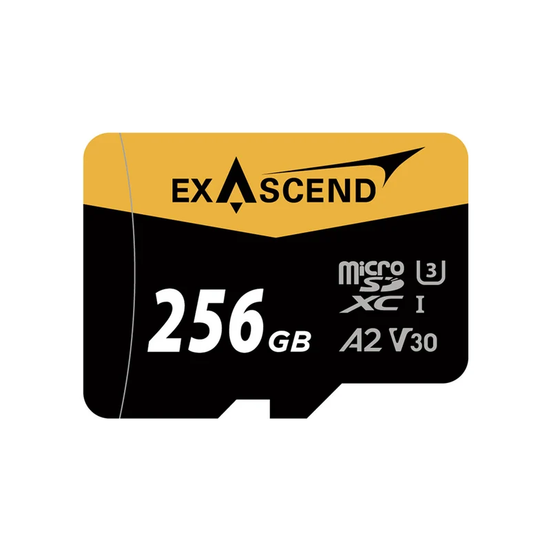 Carte Mémoire microSDXC Catalyst UHS-I V30 256GB