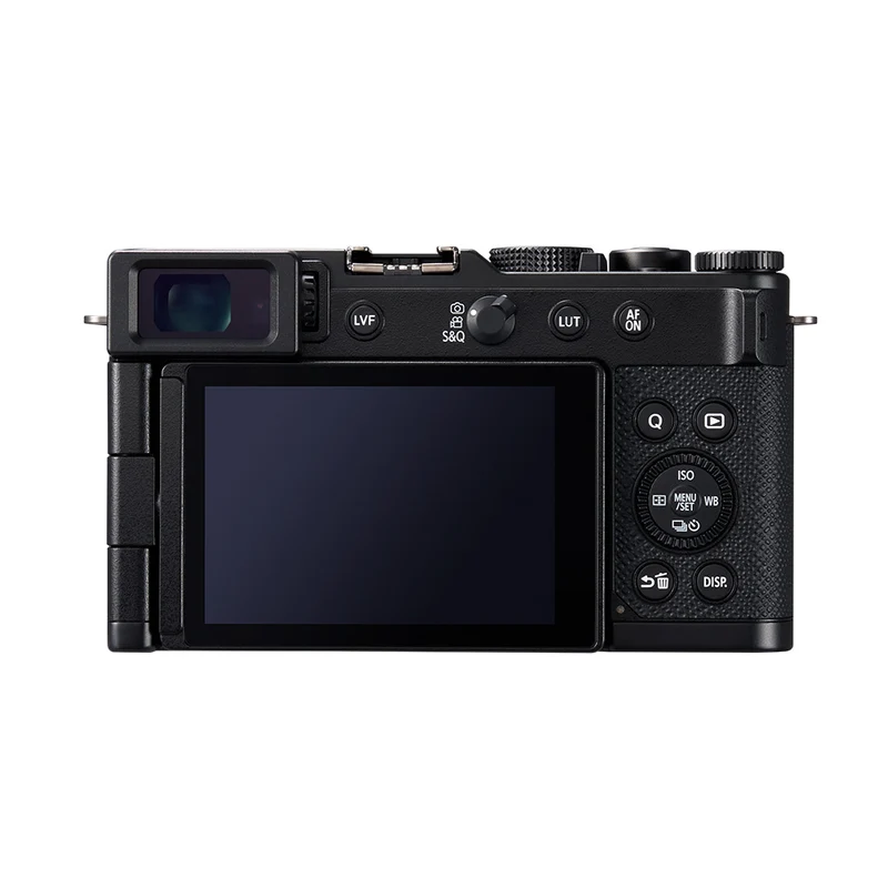 Lumix L10