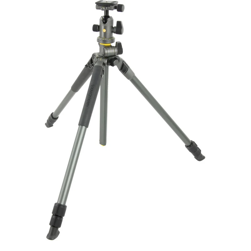 Trépied en Aluminium Alta Pro 2+ 263AB avec Tête Alta BH-100