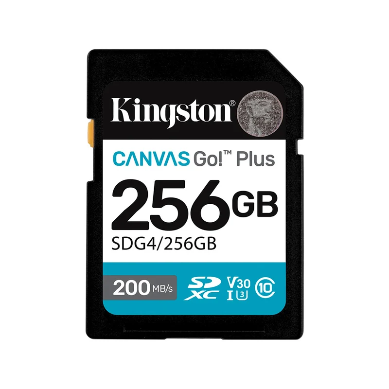 Carte Mémoire SDXC Canvas Go Plus UHS-I V30 256GB