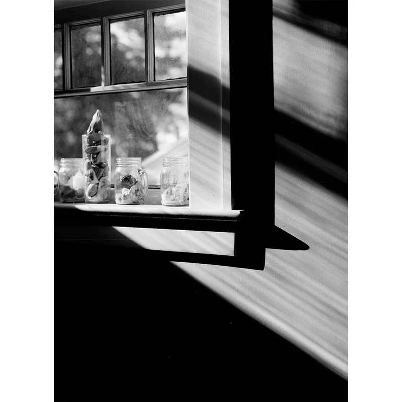 Film Noir et Blanc Ektapan 100 (4x5/50 Feuilles)