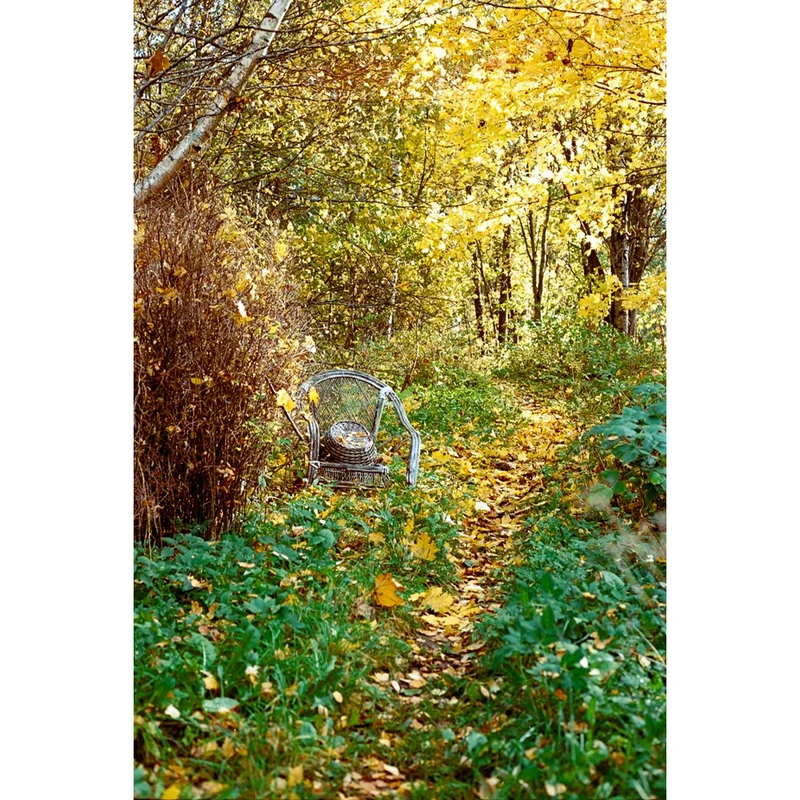 Film Couleur Père Noël SantaColor 100 (35mm/36 poses)