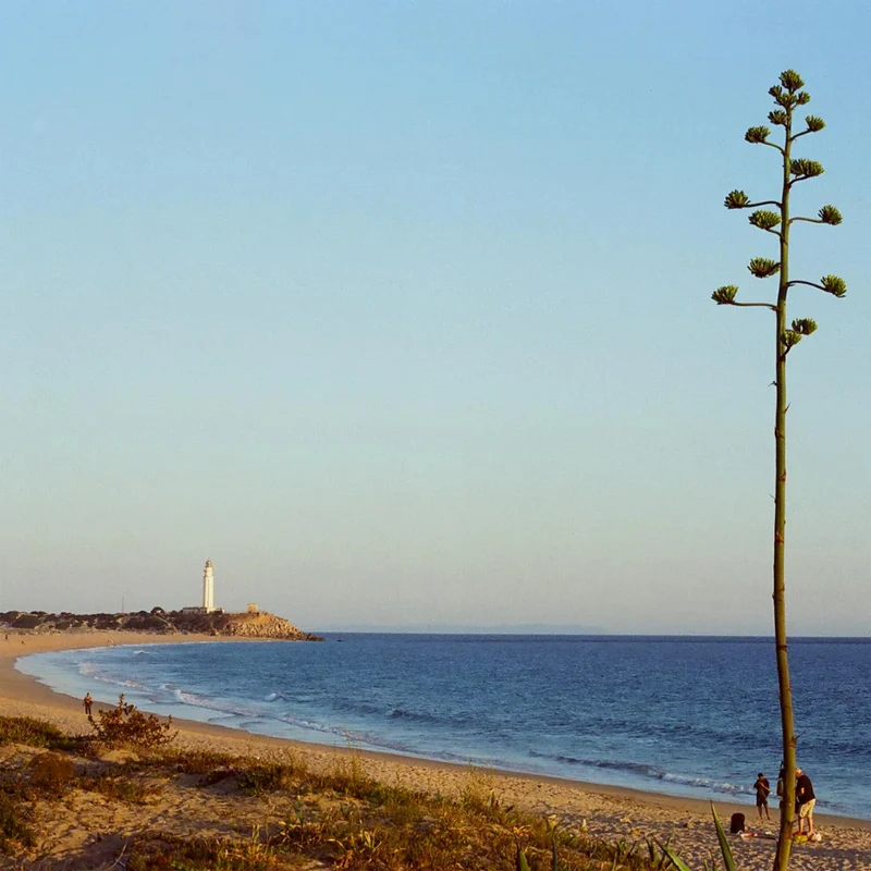 Film Couleur 200 (35mm/36 poses)