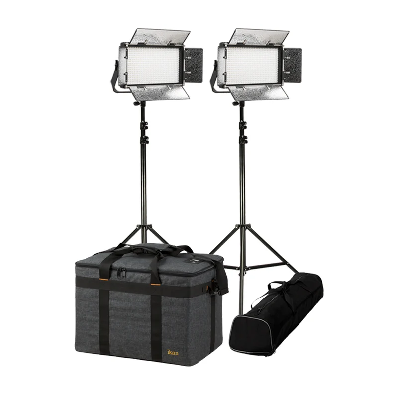 Rayden Ensemble 2 Lumières Bicolore LED avec Plaque de Pile Gold/V et Supports