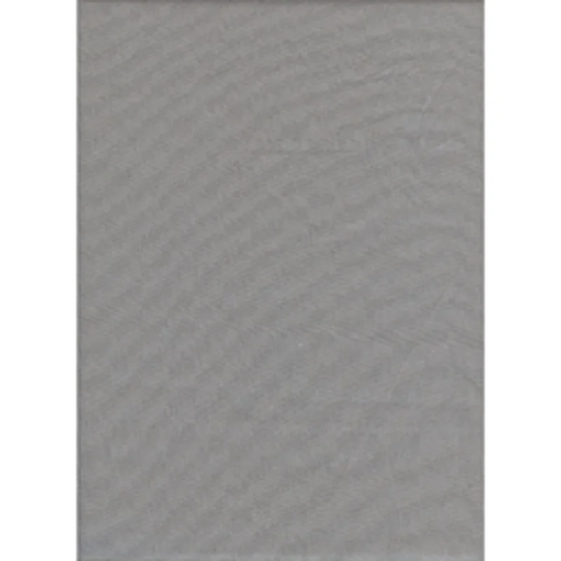Toile de Fond Couleur Unie 10 x 12pi (Gris)