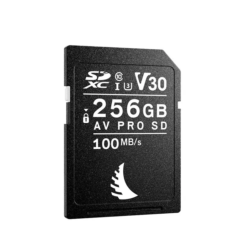 Carte Mémoire SDXC AV Pro UHS-I V30 256GB