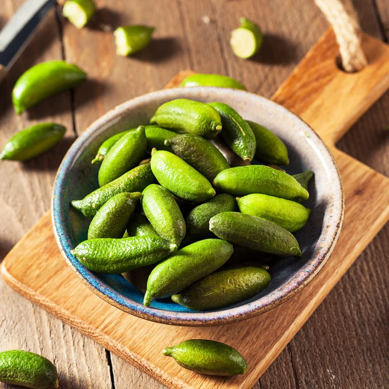 Australian Finger Lime Tree