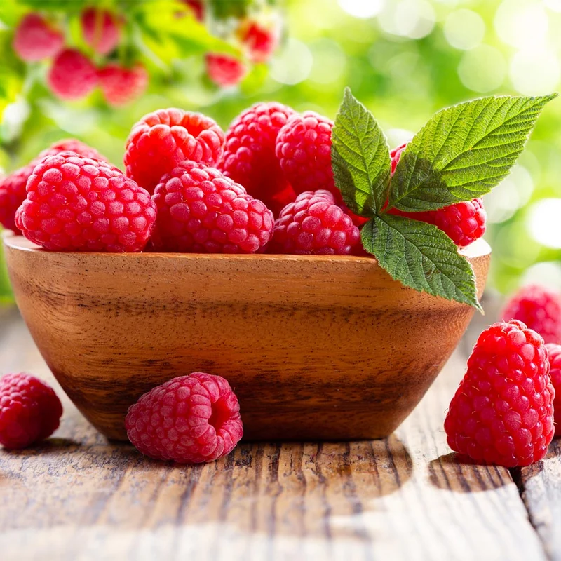 Caroline Raspberry Bush - USDA Organic
