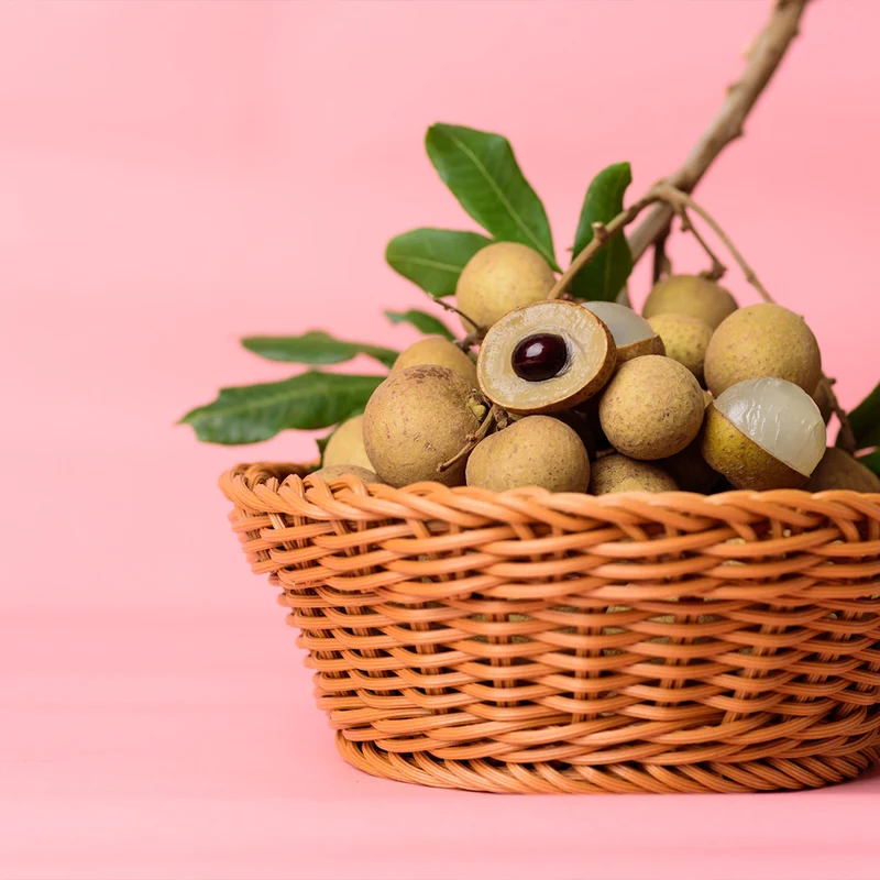 Longan Tree